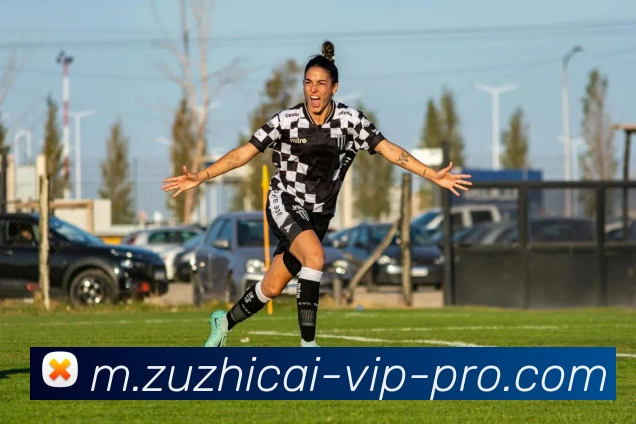 足智彩平台生态图